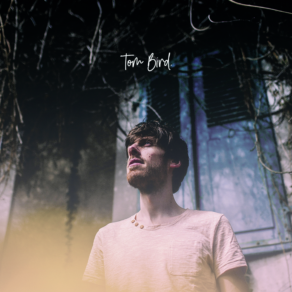 SI02 Tom Bird- Semaine 50